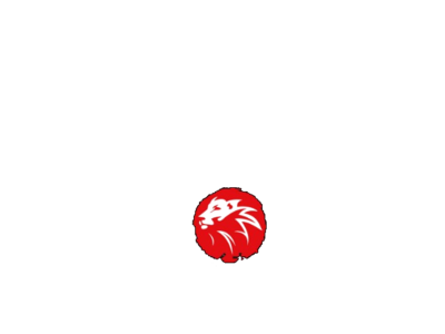 RAION Runners